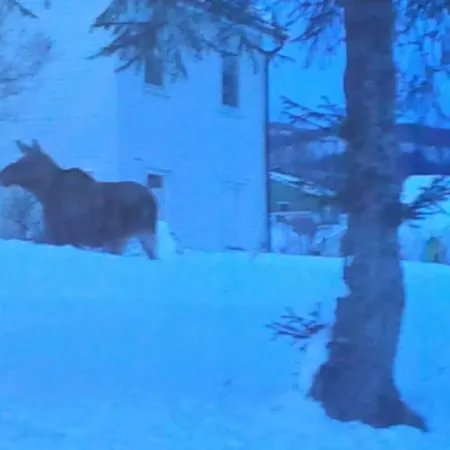 Furoy And Boating * Sorreisa