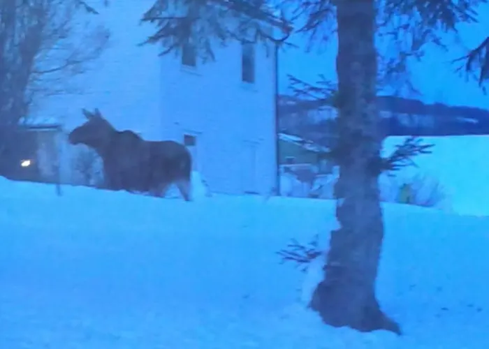 Furoy And Boating * Sorreisa