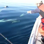 Furoy And Boating